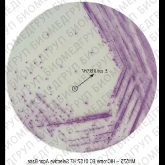 Агар селективный HiCrome для выделения и дифференциации E.coli O157:H7 100 г ФСЗ 2009/03705