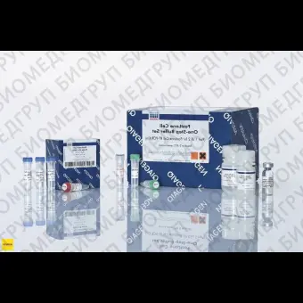 Набор FastLane Cell Probe Kit 200, Qiagen, 216413, 200 реакций