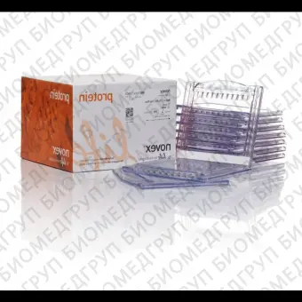 Гель полиакриламидный Bolt BisTris Mini Protein Gel, 8 х 8 см, 10 лунок, 10, Thermo FS, NW00100BOX, 10 шт./уп.