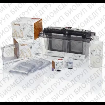 Электрофорезная вертикальная камера Mini Gel Tank Blot Welcome Pack A, 8х8 см, 2 геля, с набором реагентов, Thermo FS, NW0412A