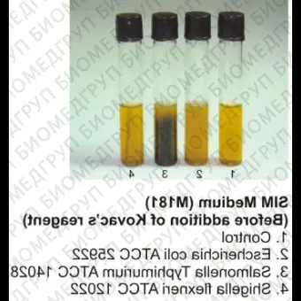 Среда железосодержащая полужидкая SIMагар, 500 г ФСЗ 2009/03705