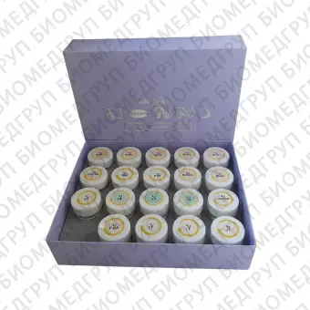 CZR Press LF Basic Kit набор низкотемпературной керамики