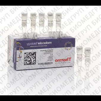 Набор для безлигазного клонирования aLICator LIC Cloning and Expression Kit 3, Thermo FS, K1261, 20 реакций