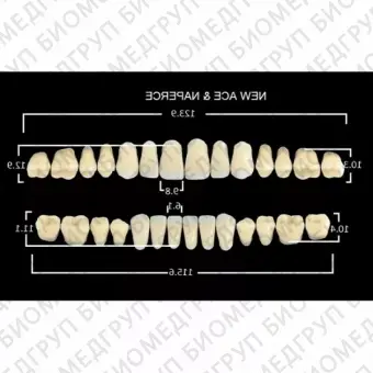 Гарнитуры пластмассовых зубов SS2 M28, цвет C2, в боксе, 20 гарнитур