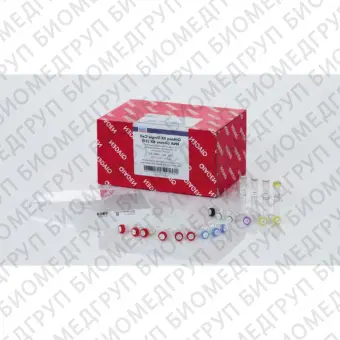 Набор QIAseq FX Single Cell RNA Library Kit для подготовки РНКбиблиотек из единичных клеток96 реакций