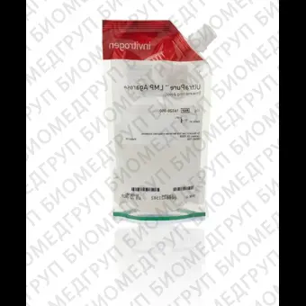 Агароза легкоплавкая/Low Melting Point Agarose, UltraPure, Thermo FS, 16520100, 100 г