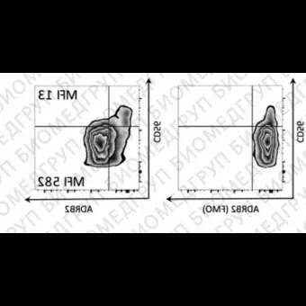 Набор для конъюгации антител PE / RPhycoerythrin Conjugation Kit, LightningLink, Abcam, ab10291860, 60 мкг