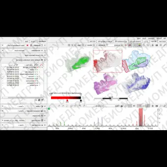 Программное обеспечение для массспектрометрии SCiLS Lab