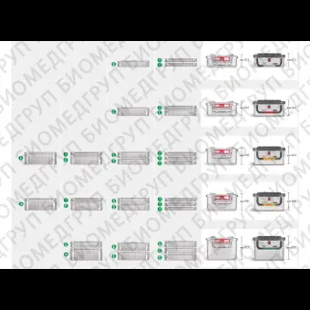 Контейнер для стерилизации marSafe 3/4, зеленая рамка, 473014см KLS Martin