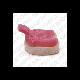 Фотополимер Harz Labs Dental Pink0,5кг