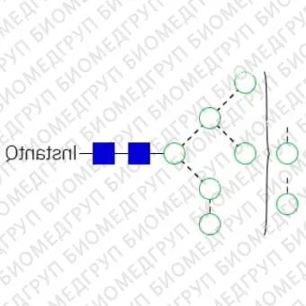 Nгликан AdvanceBio InstantQ Man8/M8 олигоманноза 8 ранее ProZyme. Nгликан, помеченный InstantQ, для использования в качестве качественного стандарта с системой анализа гликанов GlyQ. Альтернативные названия гликанов: Man8, M8