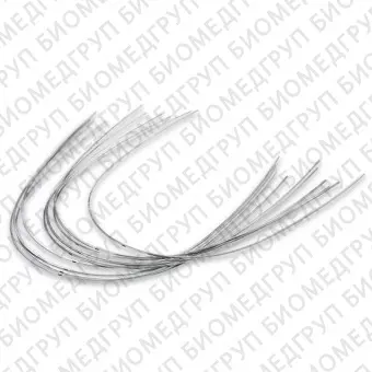 Дуги ортодонтические международная форма Нержавеющая сталь для нижней челюсти SS L .014/.36