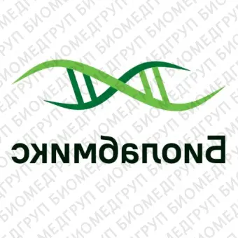 Мастермикс БиоМастер LR HSПЦР 2x для амплификации длинных до 30 кб и сложных фрагментов ДНК400 реакций