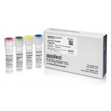 ДНК-полимераза AmpliTaq 360 DNA Polymerase, Thermo FS, 4398897, 25х1000 единиц