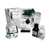 Набор RecoverAll Total Nucleic Acid Isolation Kit for FFPE, Thermo FS, AM1975, 40 выделений