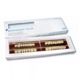 Spofadent Plus (D4) 1/22-0/0-1/72