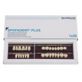 Spofadent Plus (В2) 1/21-0/2-1/60