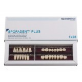 Spofadent Plus (А3) 1/23-0/7-1/60