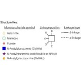 Стандарт N-гликанов AdvanceBio G0FB / FA2B (ранее ProZyme)