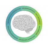 Панель nCounter Neuropathology